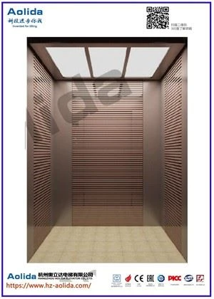 Superior Kvalitet Stabil Performance Lille Villa Hjem Elevator